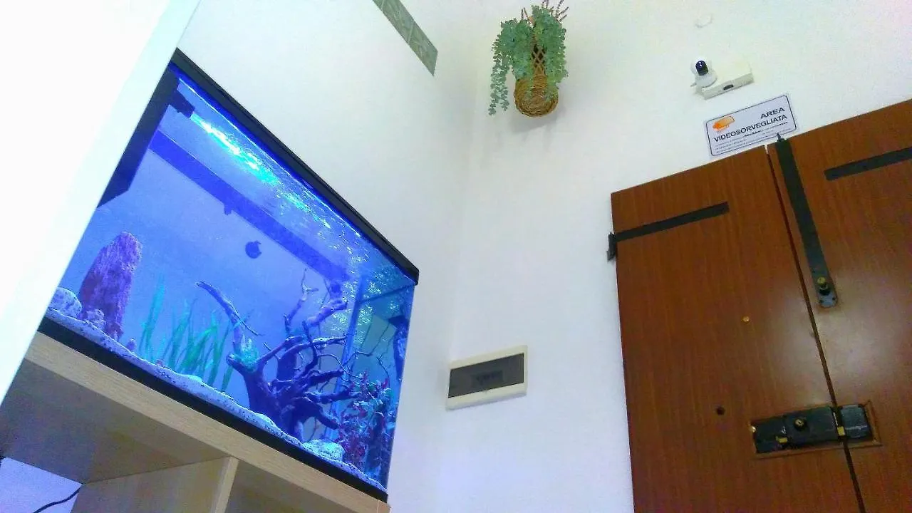 招待所 Bedroom Matteucci 比萨